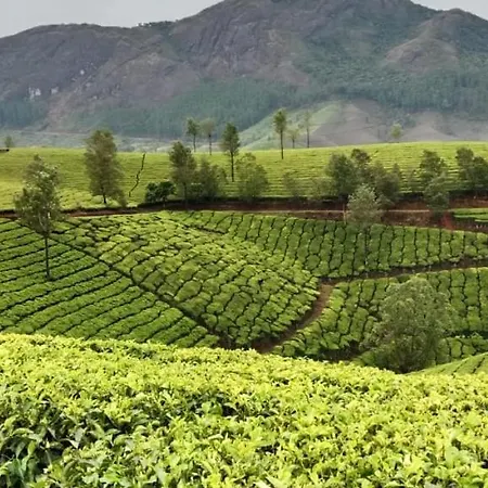 Munnar Pavithra Riverview Homestay Room photo