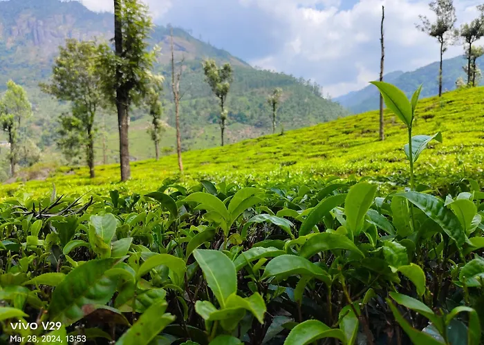 Munnar Pavithra Riverview Homestay