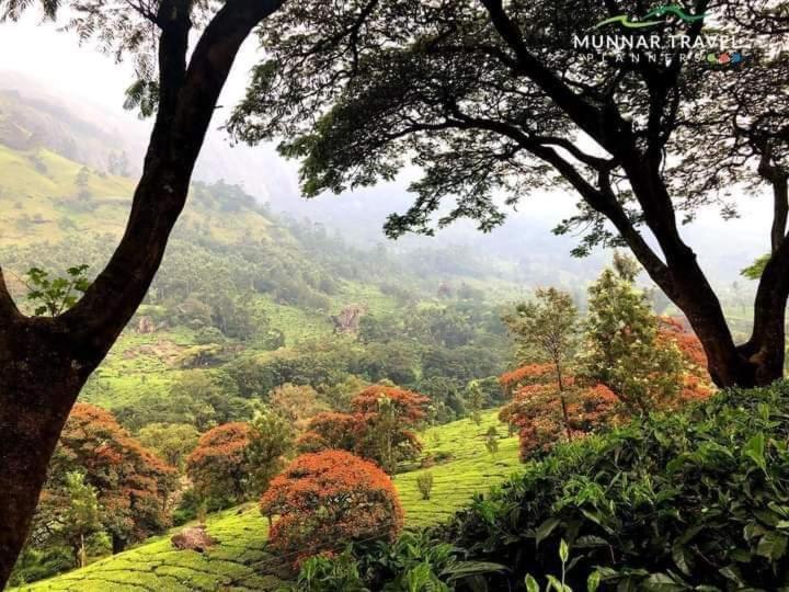 Pavithra Riverview Homestay