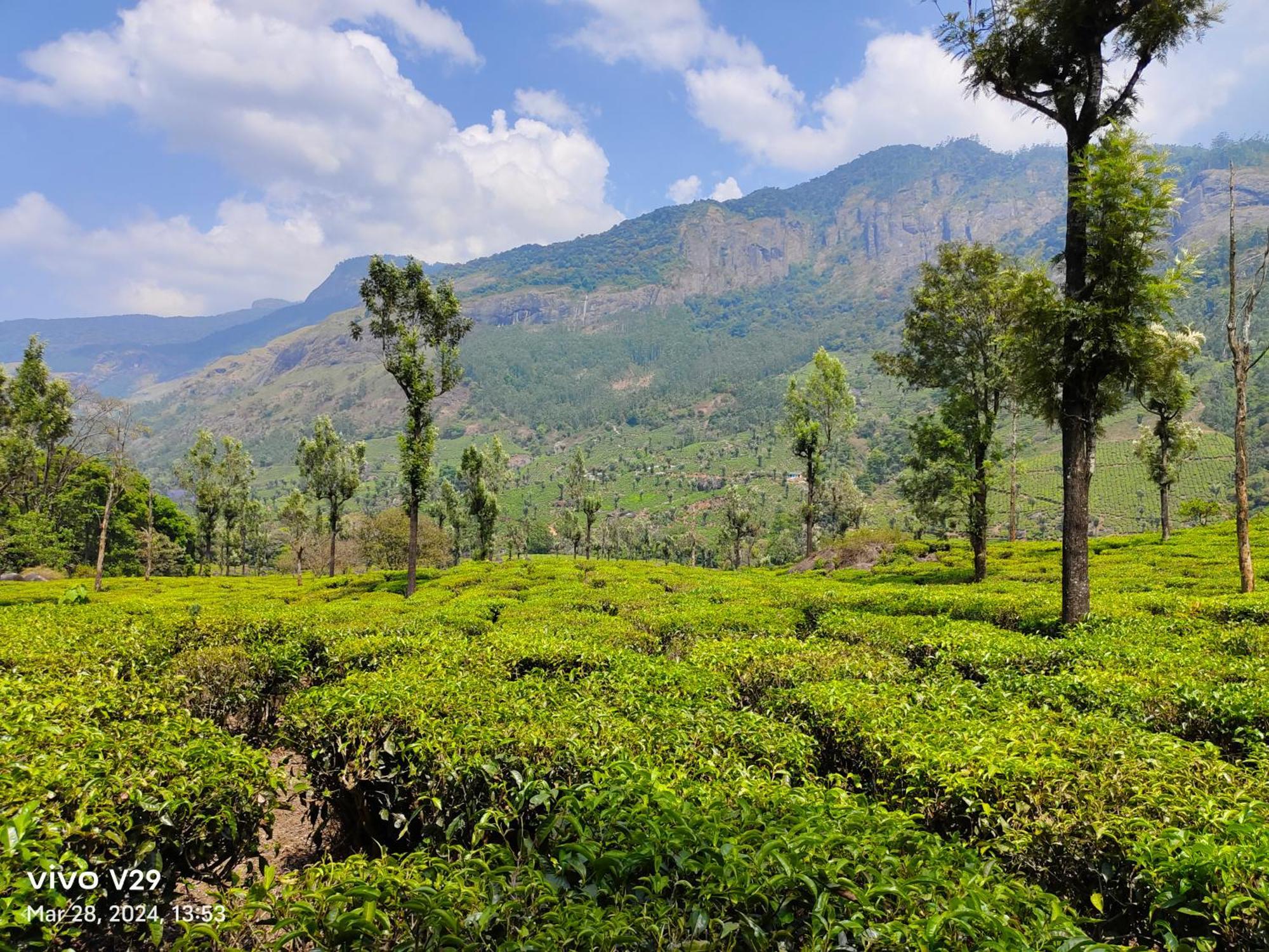 Pavithra Riverview Homestay