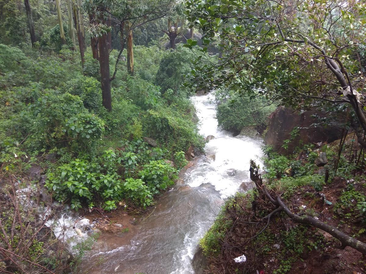 Pavithra Riverview