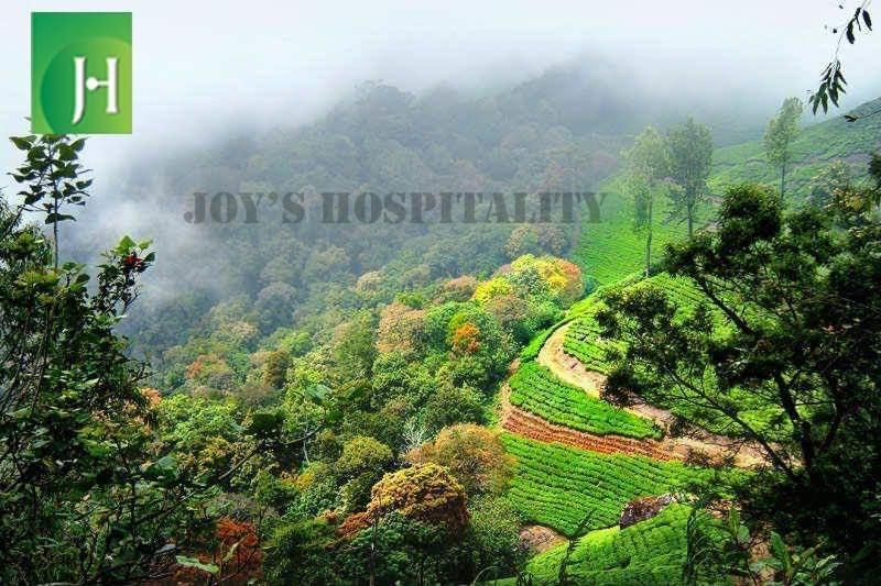 Pavithra Riverview